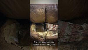 Lacey Fletcher Crime Scene Photos